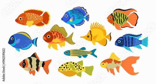 Set of colored aquarium fish. Tropical exotic underwater animals. Cute sea and ocean creatures. Hand drawn vector illustration isolated on white background, modern flat cartoon style.