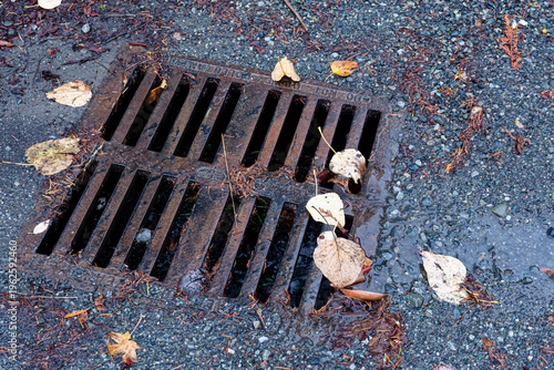 A top view image of a very old and rusted storm drain run off system which is littered with dead leaves and pine needles.