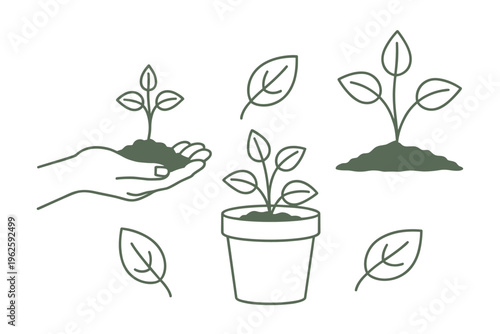 Hand holding soil with seedling plant pot growing plant and loose leaves in green line style
