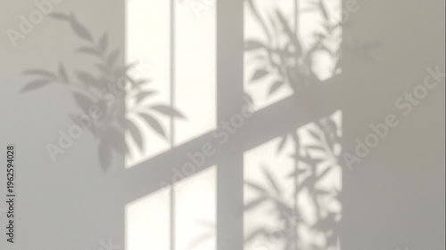 Shadow of potted plants cast on a wall through a window, creating a calming interplay of shapes and light