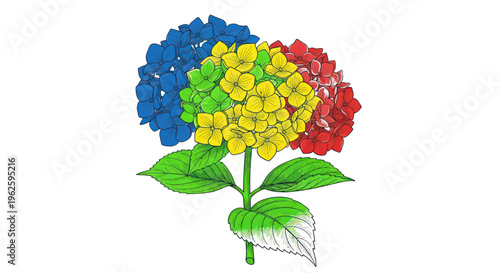 Colorful Hydrangea Flower Illustration - Blue, Yellow, Red, Green Petals