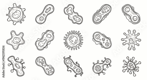 Hand drawn sketch set of various microorganisms, bacteria, viruses, and cells. Microscopic life forms collection for biology and science illustrations.