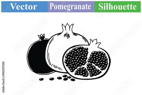 Pomegranate fruit vector illustration featuring whole, half, and seeds in hand-drawn line art style