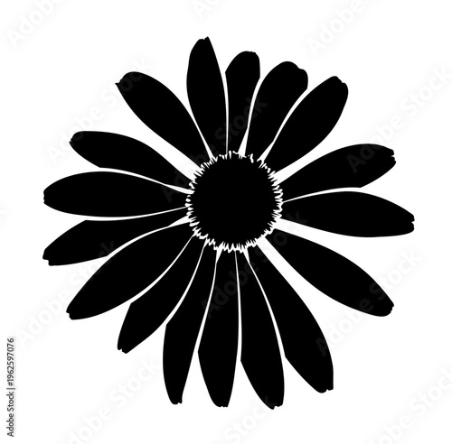 Billede på lærred coneflower (Echinacea purpurea) isolated on white background