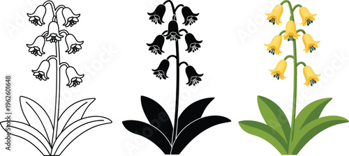 Botanical illustration set of a bell flower presented in outline silhouette and vibrant color variations perfect for spring designs and nature-themed projects