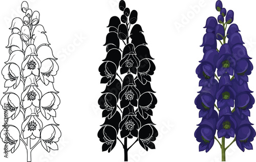 Monkshood flower vector illustration set featuring detailed outline solid silhouette and vibrant colored versions ideal for botanical designs and educational materials