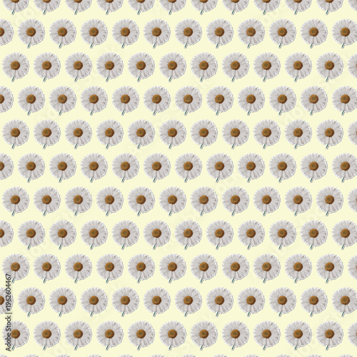 Seamless Floral Pattern Vector with Elegant Botanical Design