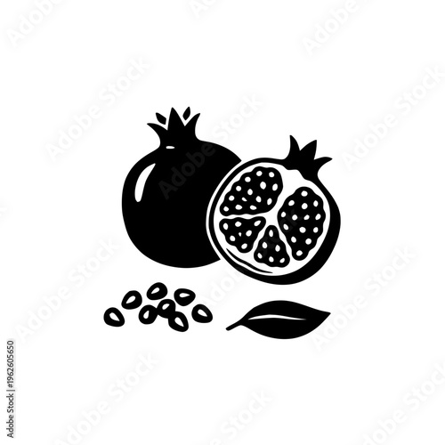 Pomegranate Elements Outline Sketch Vector Illustration