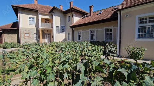 House with a large garden in front of it. The garden is full of green vines and bushes grape