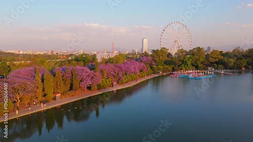 Mexico City Panoramic view with Jacaranda trees at Chapultepec Park, Mexico City 