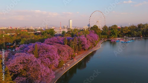 Mexico City Panoramic view with Jacaranda trees at Chapultepec Park, Mexico City 