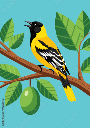 Vibrant yellow and black oriole perched on a branch with green fruit, vector illustration