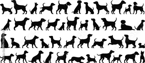dog silhouette chart comparison of sizes shapes and postures