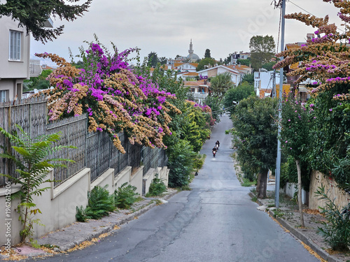 Wallpaper Mural Quiet street with a white house and a purple bush in front of it. The bush is full of purple flowers and its a beautiful sight. The street is empty and there are no people or vehicles in Istanbul Torontodigital.ca