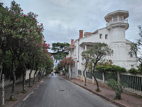 Wallpaper Mural Street with a white house and a few trees. The street is empty and the sky is cloudy Torontodigital.ca