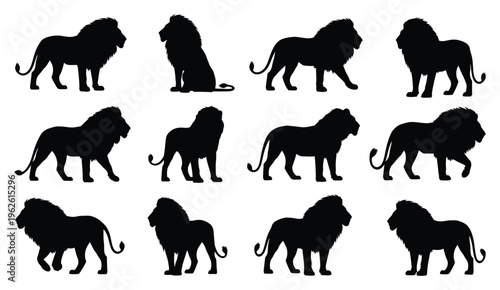 Collection of lion silhouettes in various poses
