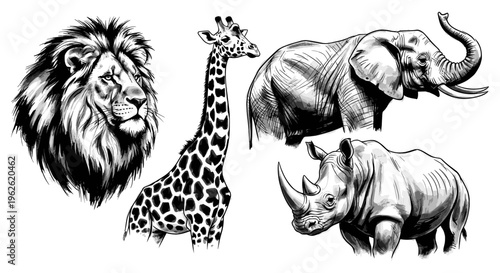 African Wildlife Animals Sketch