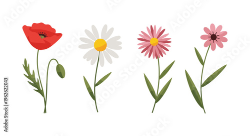 Assorted Wildflowers Collection