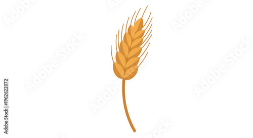 Stylized depiction of a golden wheat stalk against a plain white backdrop