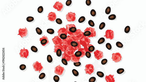 Vibrant red watermelon pieces and dark seeds scattered on a clean white background, fresh fruit concept, top view