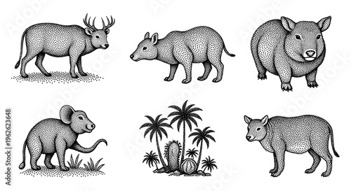 Vintage Animal Illustrations Collection