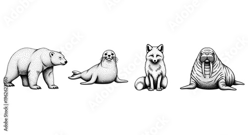 Arctic Animals Collection
