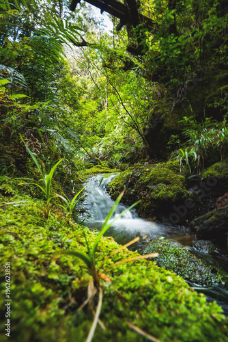 waterfall in the forest