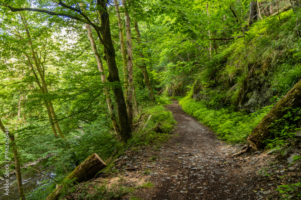 Fototapeta premium Hiking trail in Bode valley, Saxony-Anhalt state, Germany