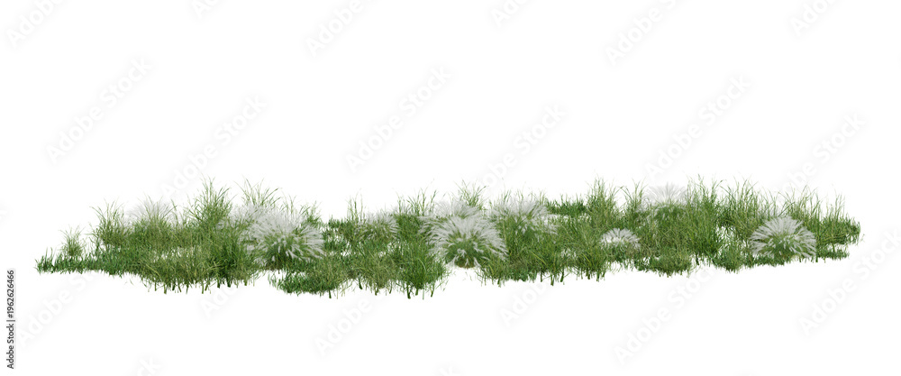 Fototapeta premium 3d illustration Low growing green foliage with small white flowers and tiny leaves, border element on transparent background.