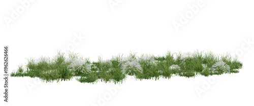 Fotografie 3d illustration Low growing green foliage with small white flowers and tiny leaves, border element on transparent background