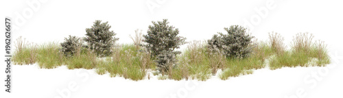 Foto 3d illustration of bushes and grasses with detailed texture, isolated on transpa