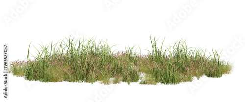 3d render field grass with small pink flowers and green leaves on a transparent background, fresh nature element.