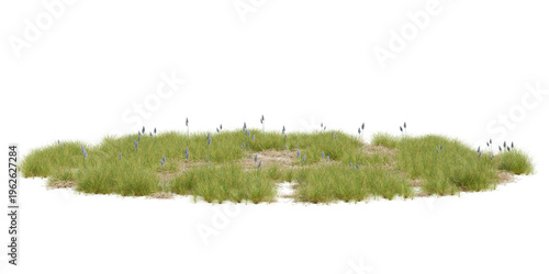 3d render isolated patch of green grass with small purple flowers and textured soil, natural element for landscaping and botanical design