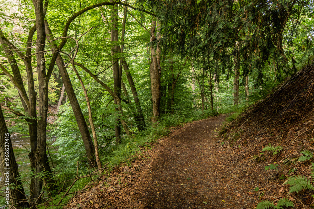 Obraz premium Hiking trail in Bode valley, Saxony-Anhalt state, Germany