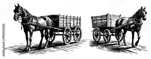 Horse Drawn Carriage and Vintage Wooden Wagon Sketch Rural Farming Transportation and Historical Equestrian Art