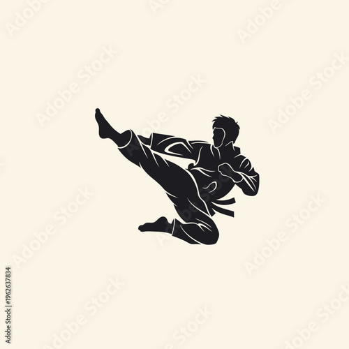 Martial arts silhouette of a man kicking.