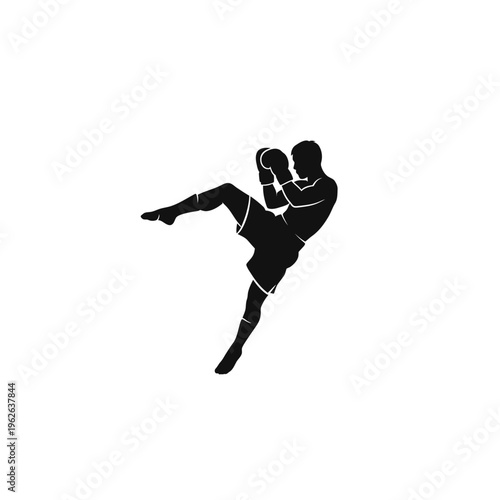 Silhouette of a person kicking in boxing.