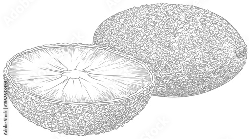 Artistic black and white illustration of an avocado, with one half cut open, showing details