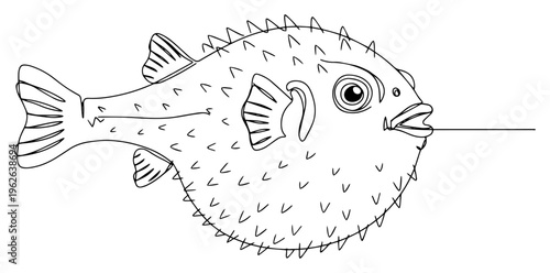 Fotografie Pufferfish Blowfish Continuous One Line Drawing Minimalist Sea Life and Underwat
