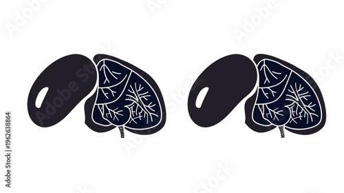 Stylized, minimalist illustrations of a pair of organs, possibly anatomical, with simple shapes and internal structures