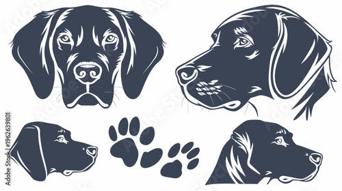 Silhouetted illustration of a dog's head in frontal and profile views, and dog paw prints