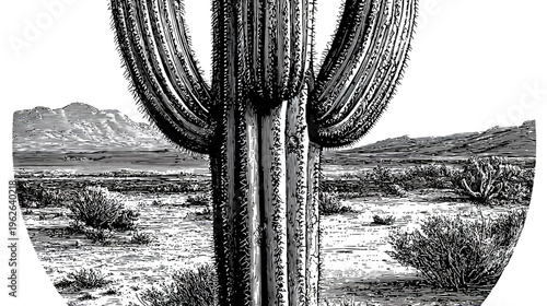 A detailed illustration of a large cactus, central, in a desert scene; black and white style