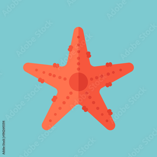 A vibrant starfish against a serene blue background. The starfish is a bright orange color, with its five arms perfectly displayed
