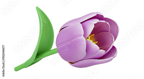 Single Purple Tulip Flower