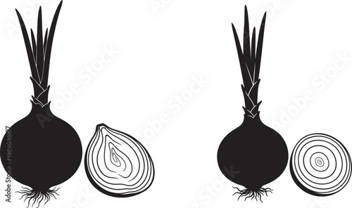 Black and white illustration of onions and onion cross sections