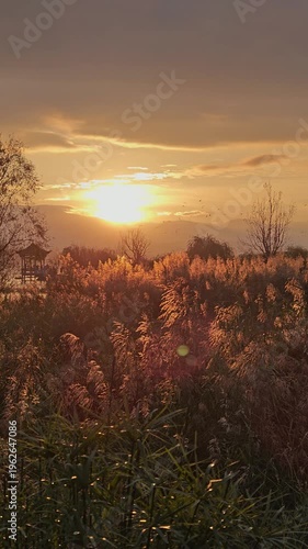 4K Breathtaking Sunrise Over Vast Natural Landscape