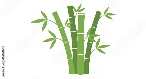 Vibrant Bamboo Grove Illustration on White Backdrop showcasing asian nature vitality