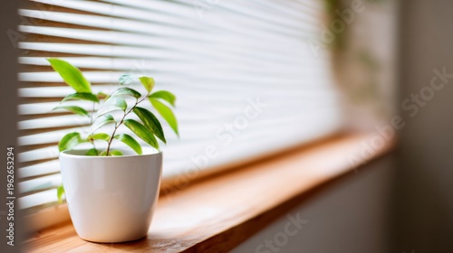 scandinavian. Scandinavian workspace corner with wooden accents, potted plant...