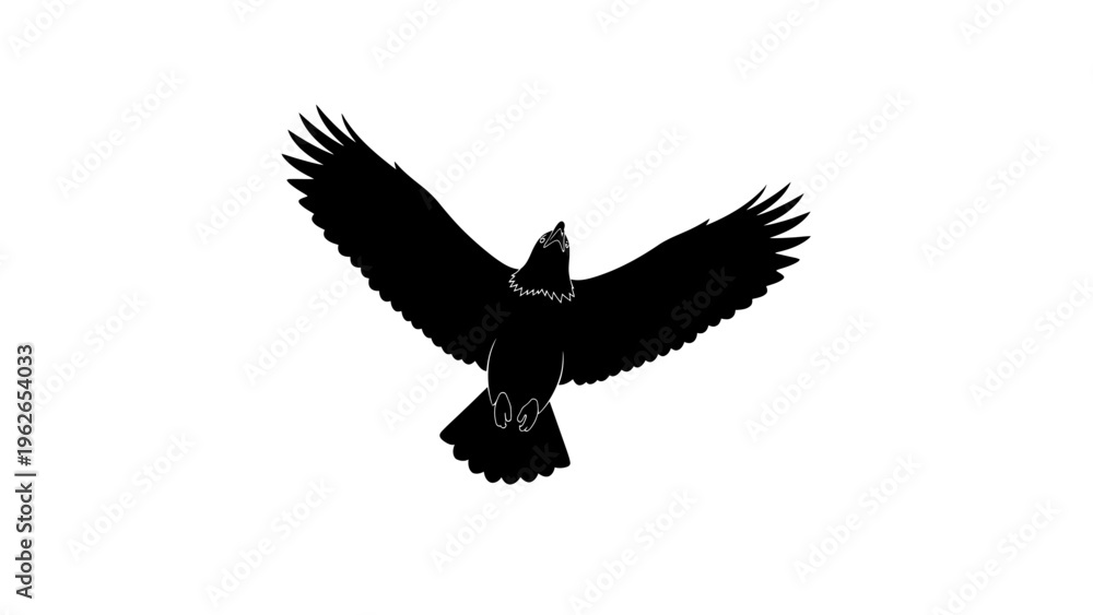 Fototapeta premium black silhouette of eagle in flight