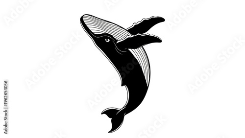 Black and white vector illustration of a humpback whale jumping out of water